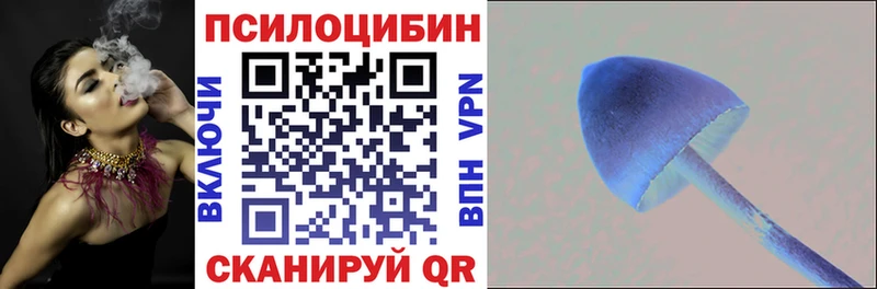 Купить где  Кологрив  Галлюциногенные грибы MAGIC MUSHROOMS 